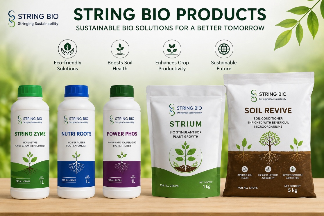 String Bio Sustainable BioSolutions